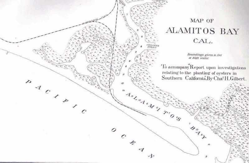 An 1889 map of Alamitos Bay showing marsh around the bay, the Pacific Ocean and the New San Gabriel River