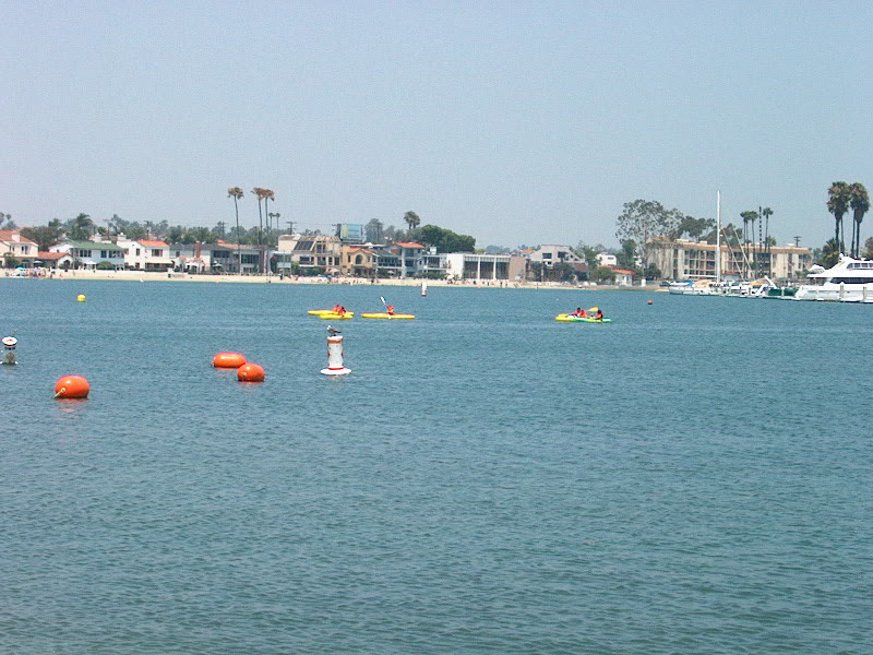 Kayakers paddling on calm Alamitos Bay with homes and palm trees along the shore
