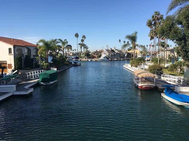 A Naples canal on a sunny day, lined with docks, boats, homes and tall palm trees