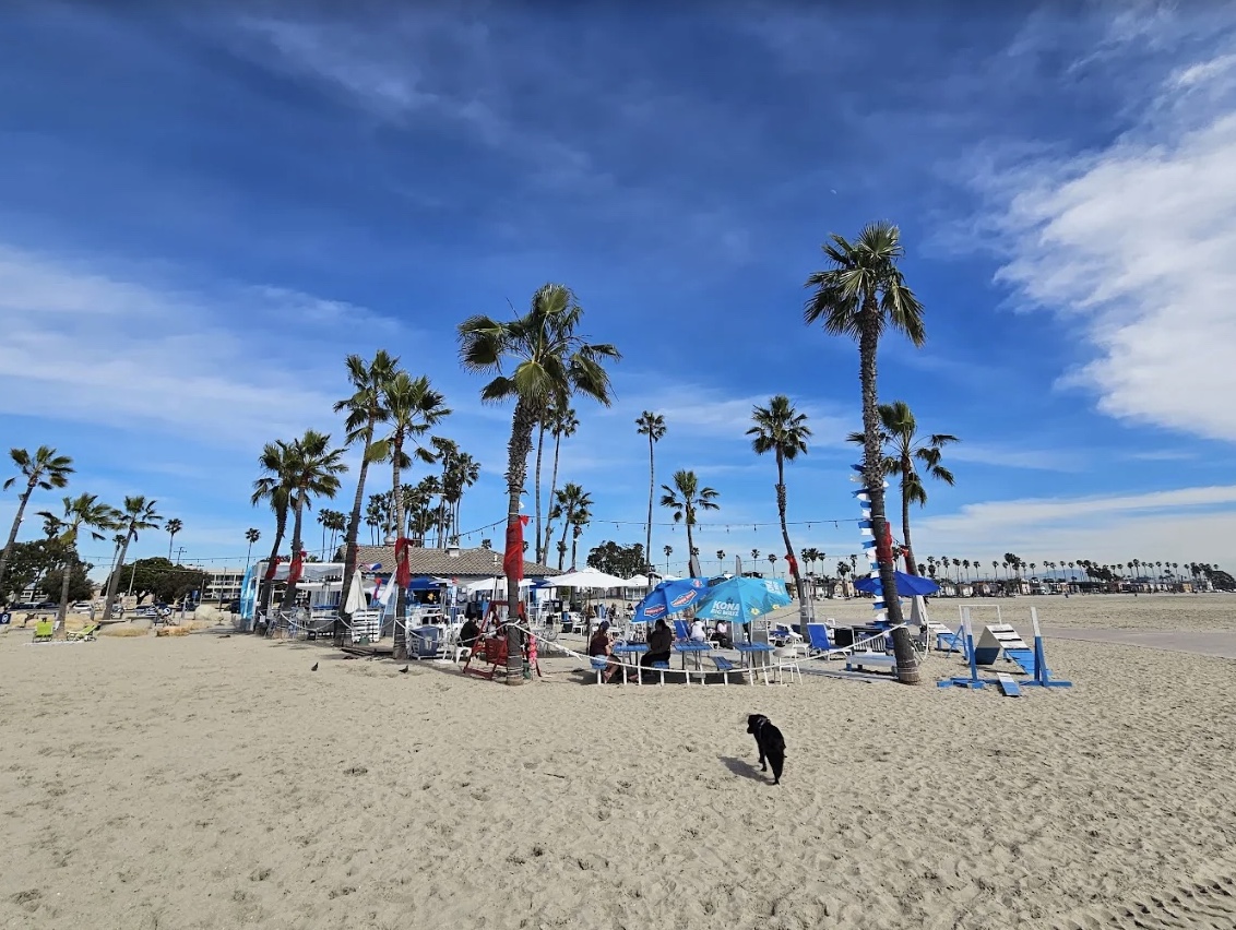Monty's Dog Beach & Bar on the sand at Granada Beach on a sunny day, with blue umbrellas, tables under the palm trees and a black dog on the sand in front